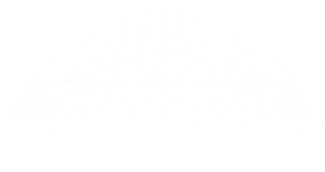 https://tracon.com.br/wp-content/uploads/2021/01/logo_white-300.png